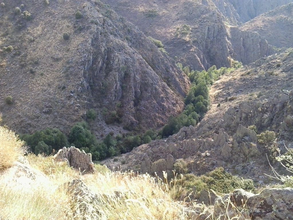 Vista desde lo alto de la vegetación de ribera sobre la reserva natural fluvial Arroyo Vallosera