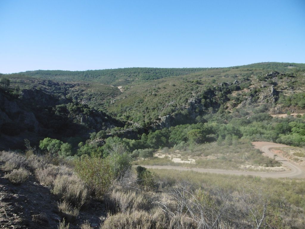 Vista general de la reserva natural fluvial Río Barbaón donde se aprecia la vegetación de ribera