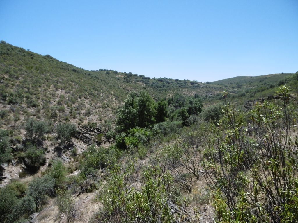 Reserva natural fluvial Río Gualija encajado en el terreno