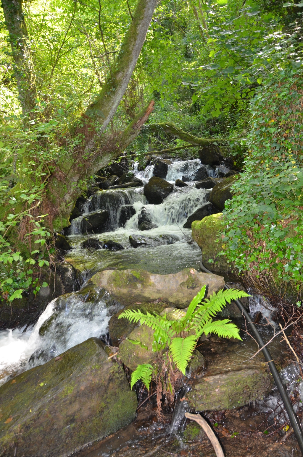 Reserva Natural Fluvial Deba
