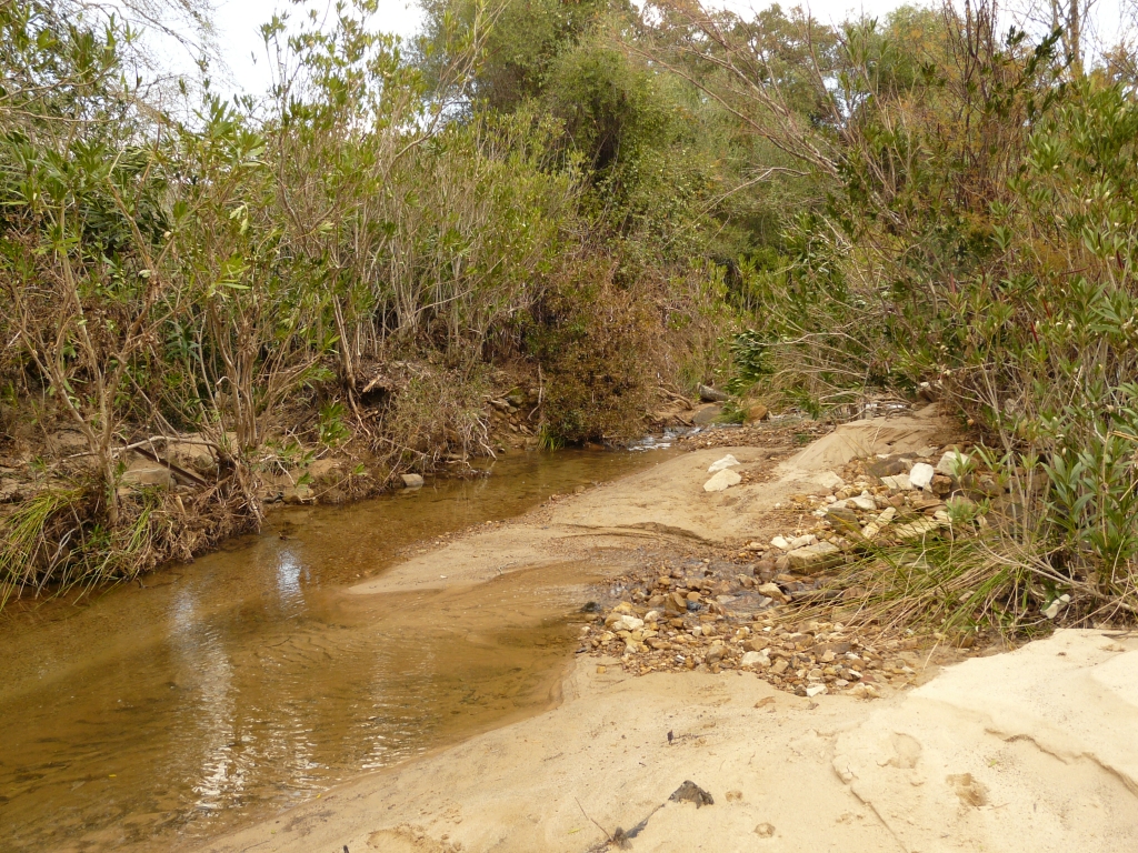 Reserva Natural Fluvial Alto Guadarranque