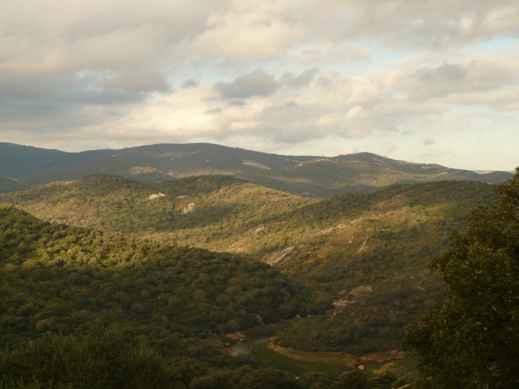 Reserva Natural Fluvial Alto Guadarranque