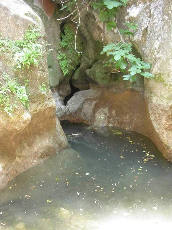 Reserva Natural Fluvial Torrent de Biniaraix