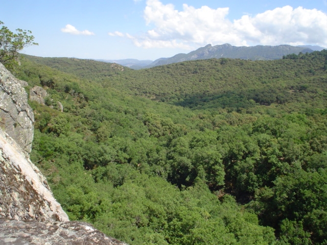 Reserva Natural Fluvial Arroyo del Puerto de los Negros