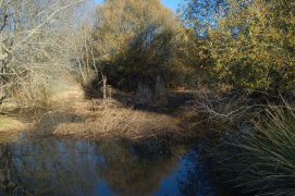 Reserva Natural Fluvial, río Milagro