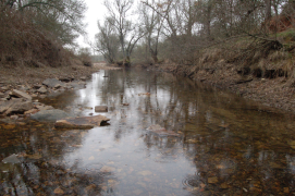 Reserva Natural Fluvial, río Milagro
