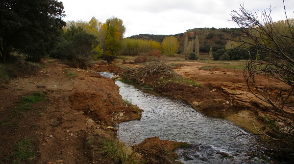 Erosión en la ribera derecha del arroyo Alarconcillo