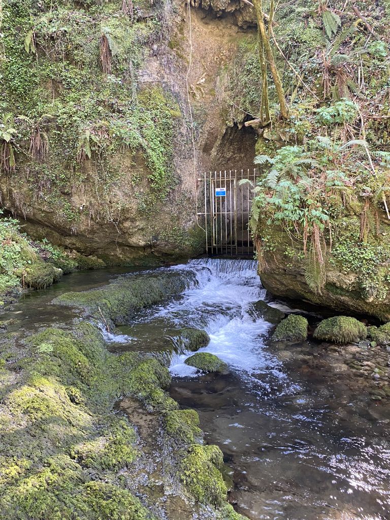 Cueva de Molín. Autor: (TTEC, abril 2022)