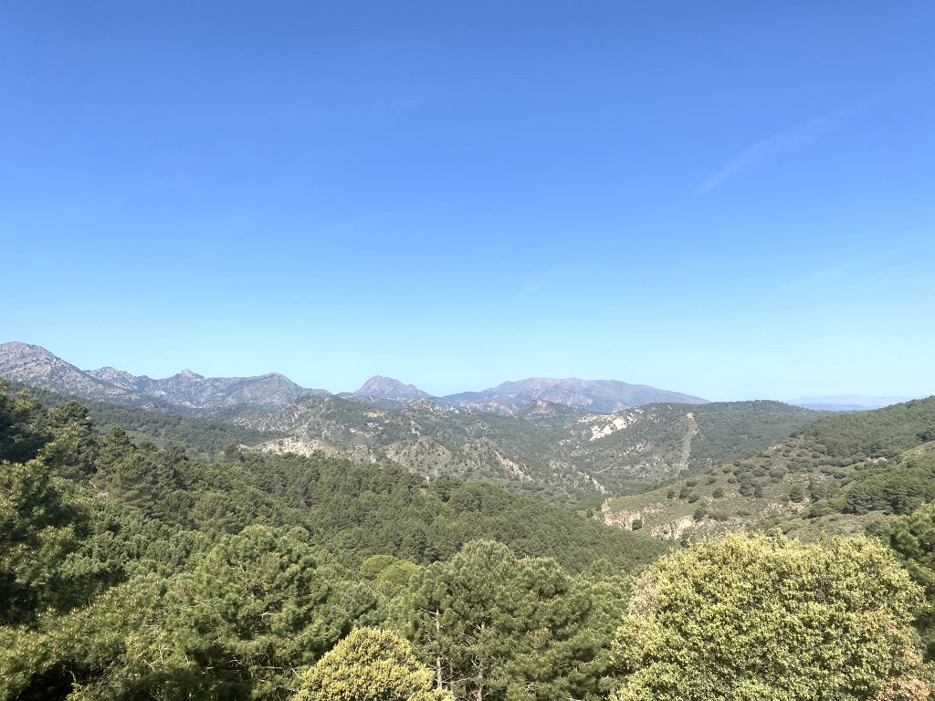 Vista longitudinal E-O de los valles con la línea de cumbres de las sierras Almijara y Tejeda al fondo (Límites de la RNS). Autor: TTEC (mayo 2022)
