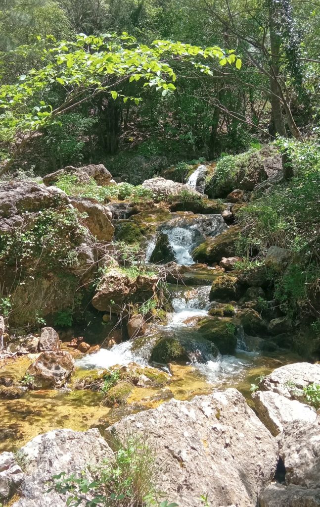 Curso de la Fuente del Arroyo del Molino previo a confluencia con el río Mundo