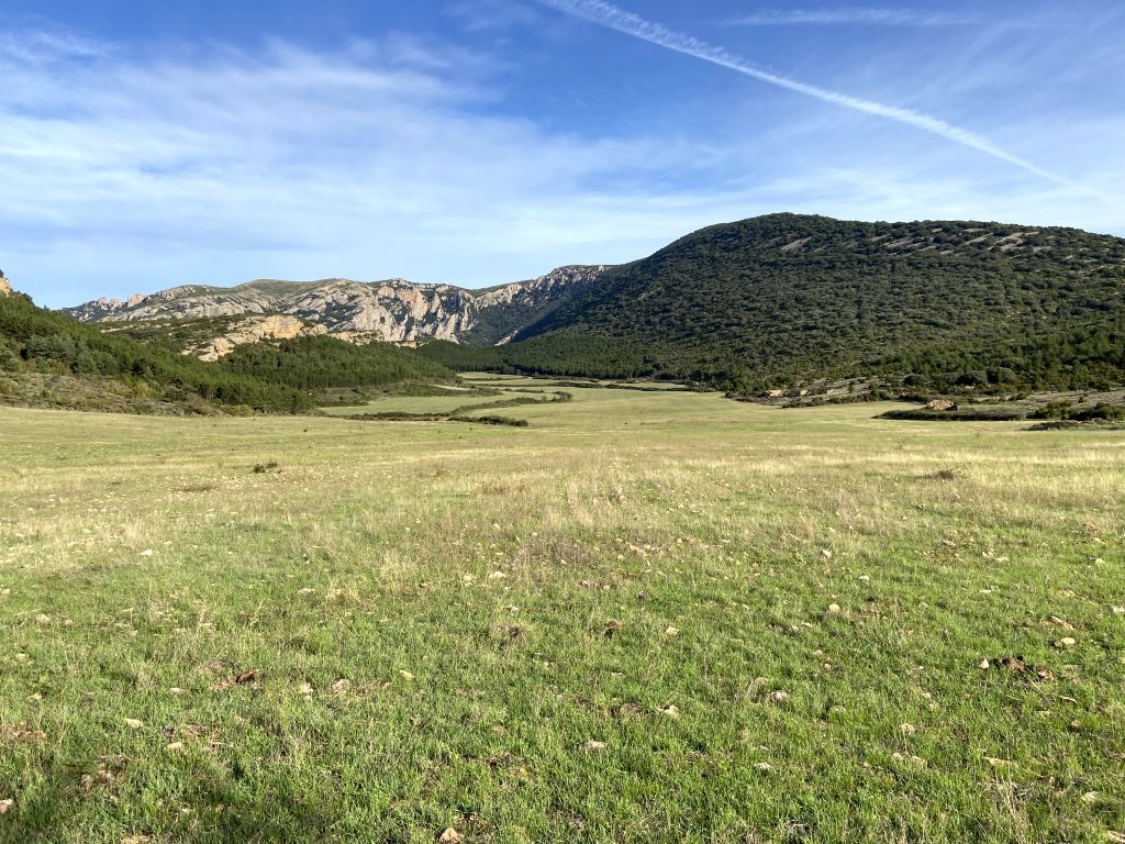 Vista de detalle del polje desarrollado en el paraje conocido como los Campos de Ciano. Autor: TTEC (septiembre 2021)