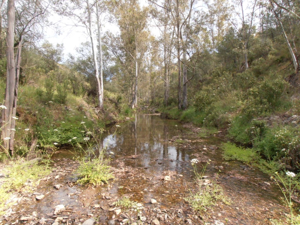 Reserva Natural Fluvial Arroyo de Clarina