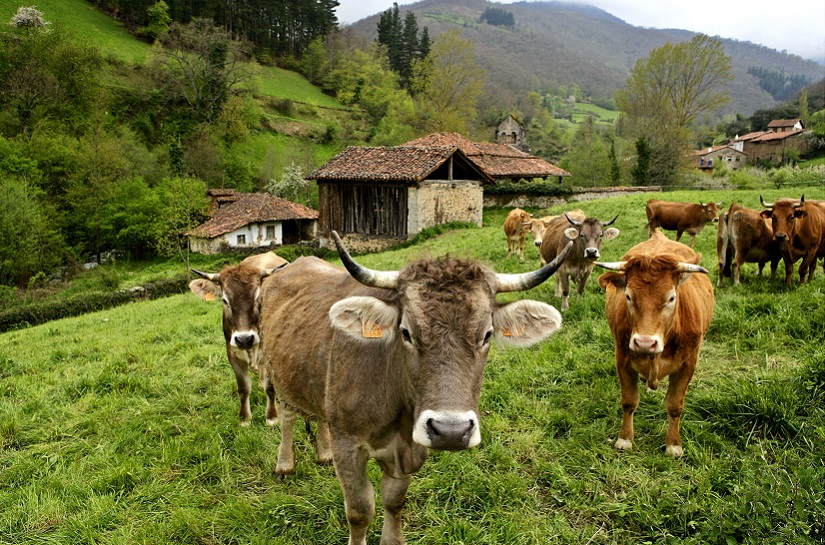 Protección de las aguas frente a los nitratos y pesticidas