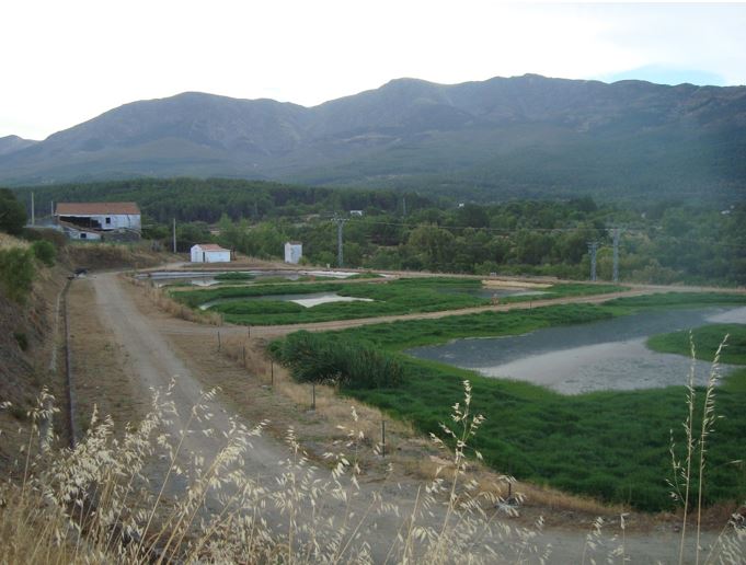 Vista general al inicio de las obras