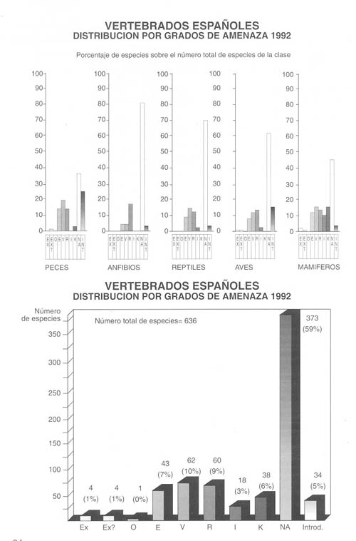 Gráfico resumen de los Vertebrados