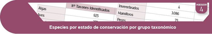 Ampliar información indicador 4