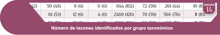 Ampliar información indicador 14