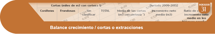 Ampliar información indicador 31