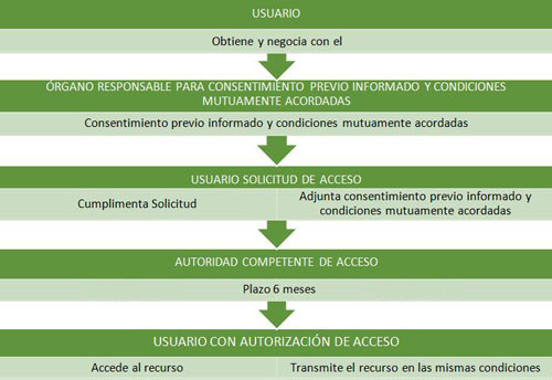 Acceso_comercial_img