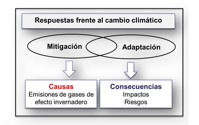 Fig1. Respuestas frente al CC