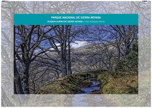 Sierra Nevada. Acequia almiar de Sierra Nevada / Pepa Rodríguez Infante
