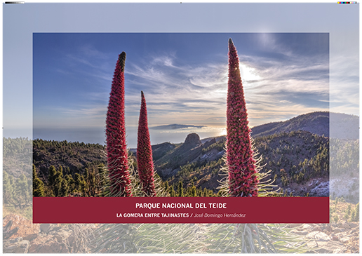 Teide. La Gomera entre tajinastes / José Domingo Hernández