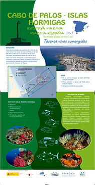 Panel 12. Cabo de Palos - Islas Hormigas (Murcia, España)