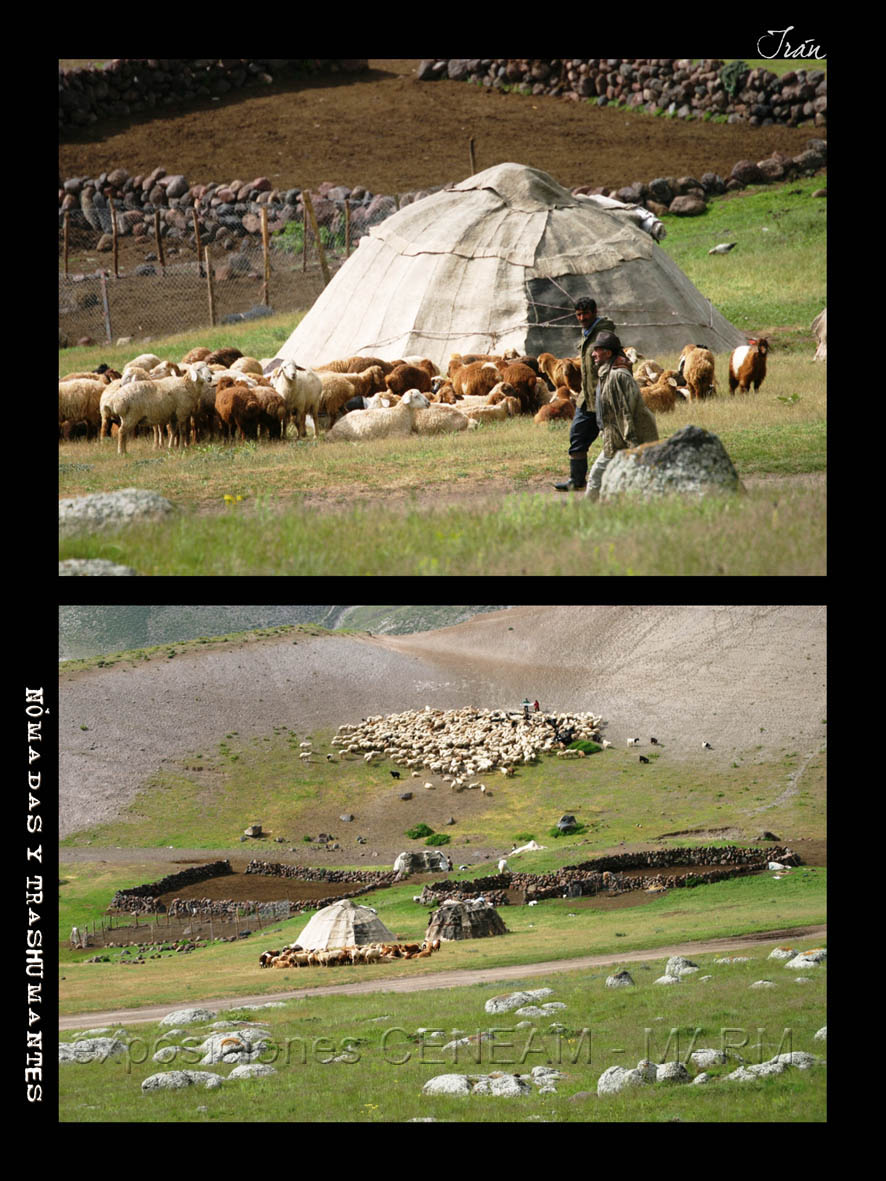 Dos fotos de un asentamiento temporal con rebaños en Irán