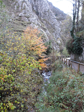 Paraje con arroyo en Soto de Agues (Asturias)
