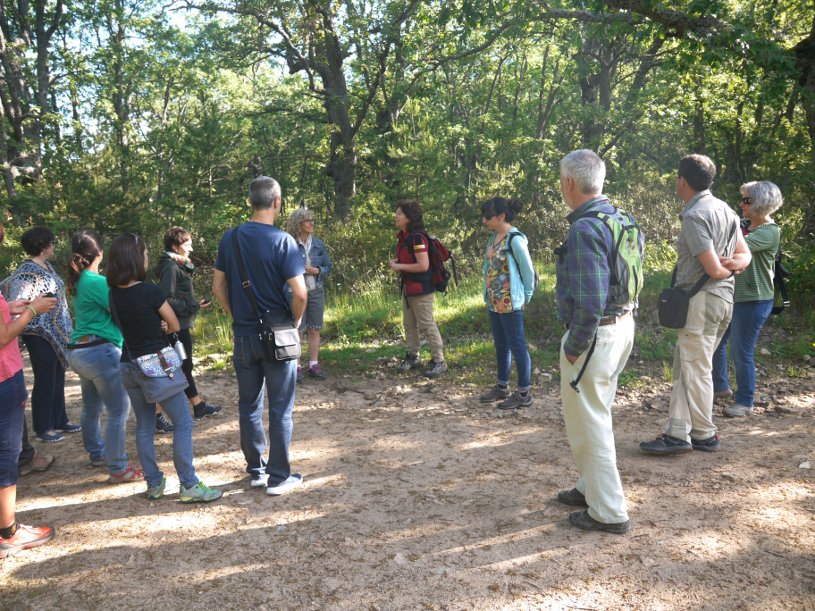 Paseo didáctico hacia el arroyo Peñalara