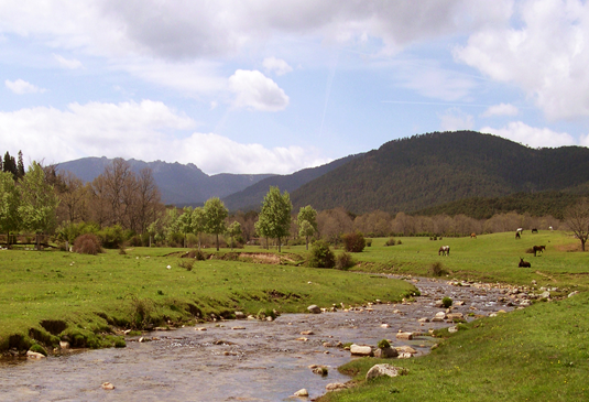 Rio Eresma a su paso por el Parque