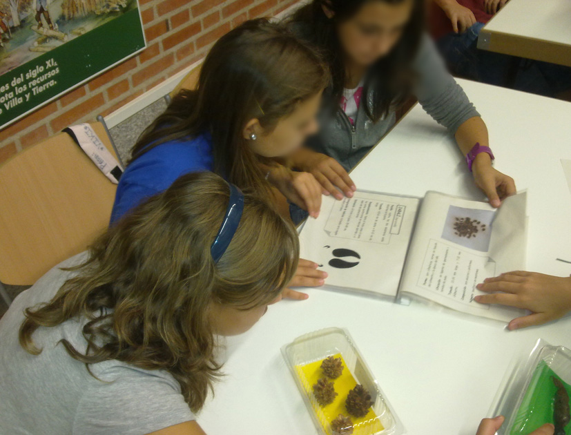 Un grupo de alumnas identifica diferentes huellas de animales en el taller