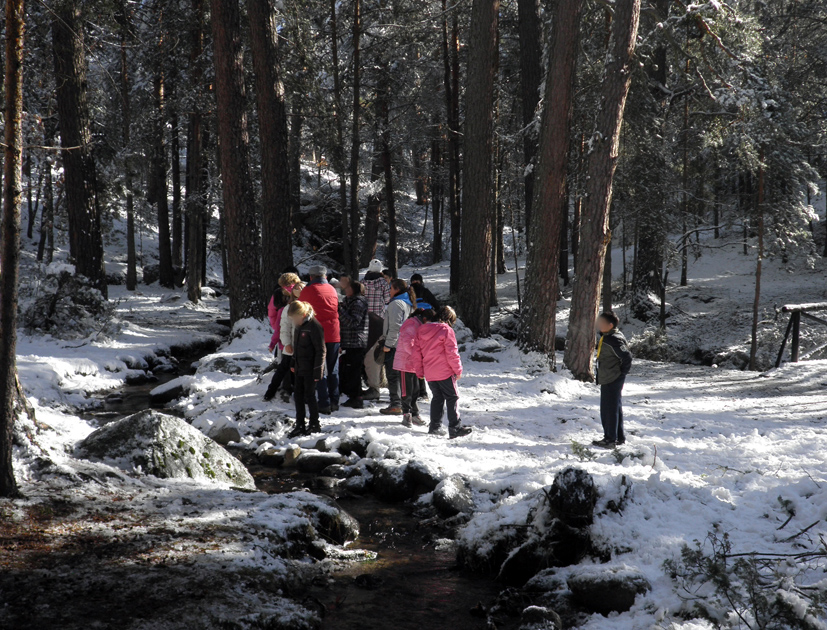 Participantes recorriendo un curso de agua en invierno