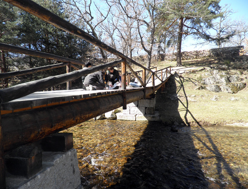 Unos alumnos realizan observaciones en el río desde lo alto de un puente de madera