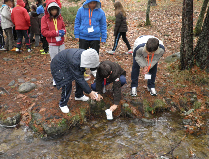 Un grupo de alumnas toma muestras de agua en el arroyo