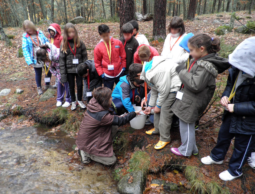Los participantes en la actividad realizan observaciones en una muestra de agua recogida del arroyo
