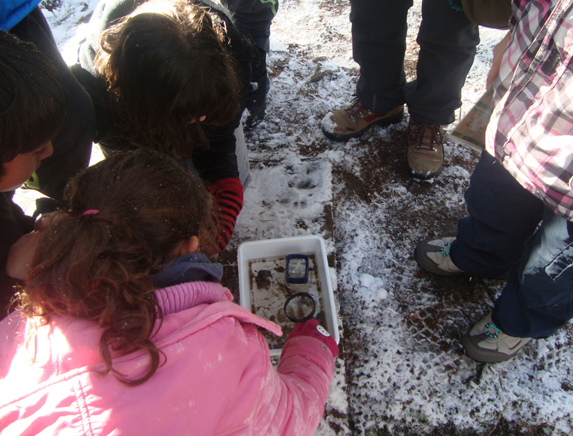 Participantes observando la muestra de agua extraída del arroyo