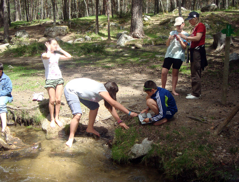 Un grupo de participantes extraen muestras del agua del arroyo para su obsevación