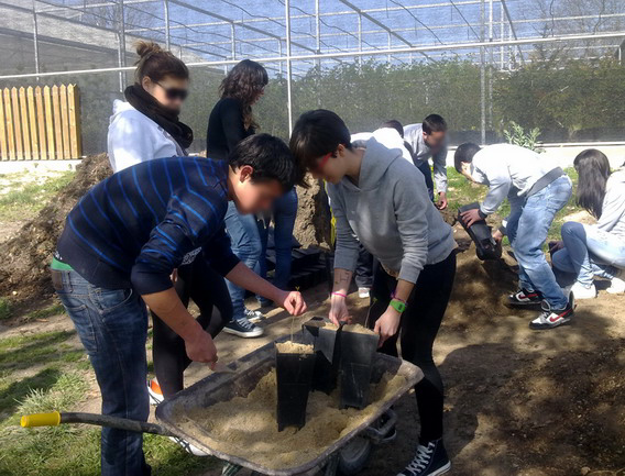 Los participantes en el programa realizan prácticas de plantación en vivero