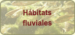 17 Conservación de peces amenazados y adaptación al cambio climático de hábitats fluviales en el oeste de Castilla y León