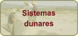 22 Restauración y conservación de sistemas dunares. Adaptación al cambio climático en la costa mediterránea.