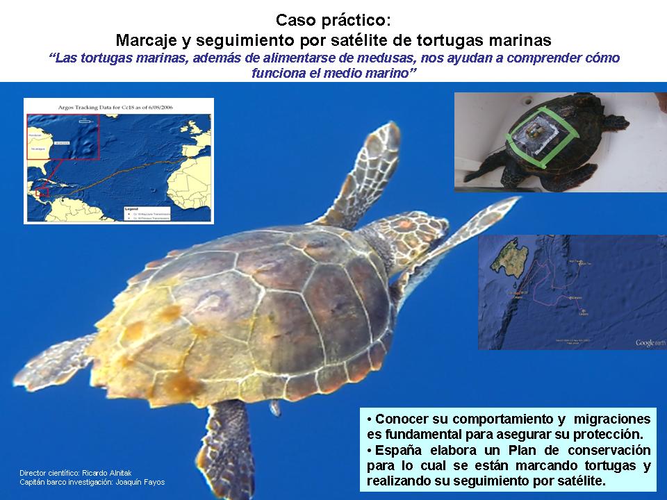 Día Mundial de los Océanos