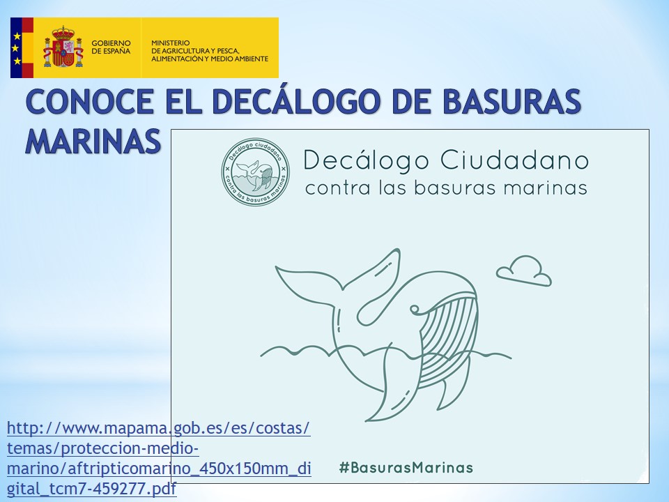 Día Mundial de los Océanos