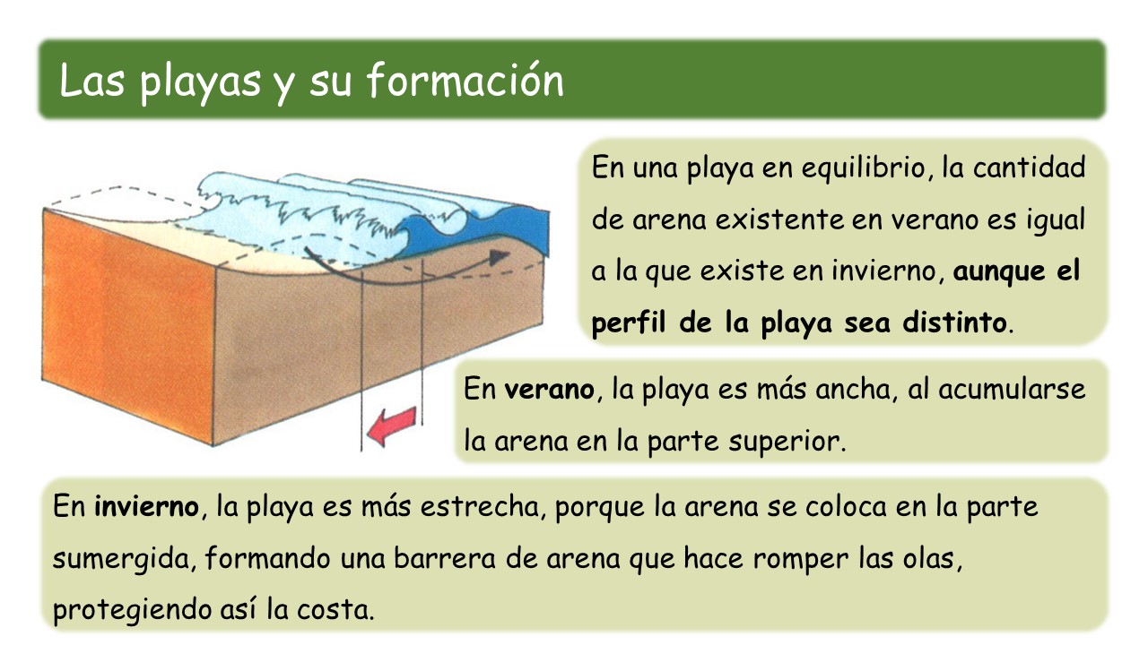 Lo que todos debemos saber sobre las playas