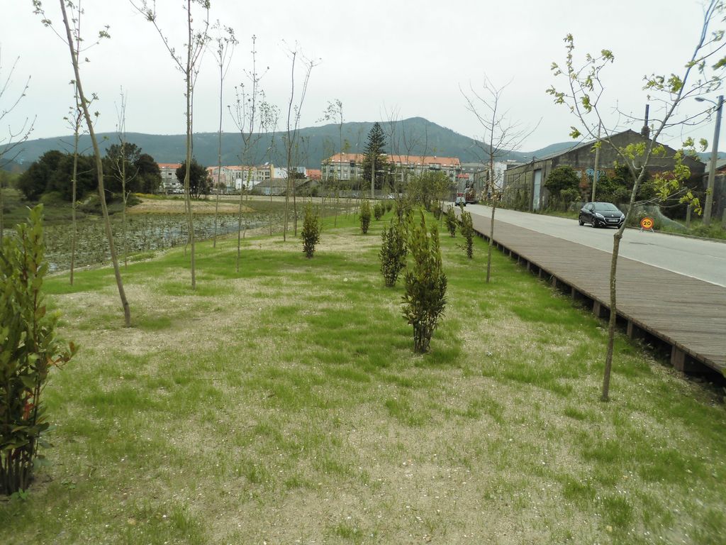 Regeneración ambiental de las marismas de A Xunqueira do Areal, Fase I. Durante