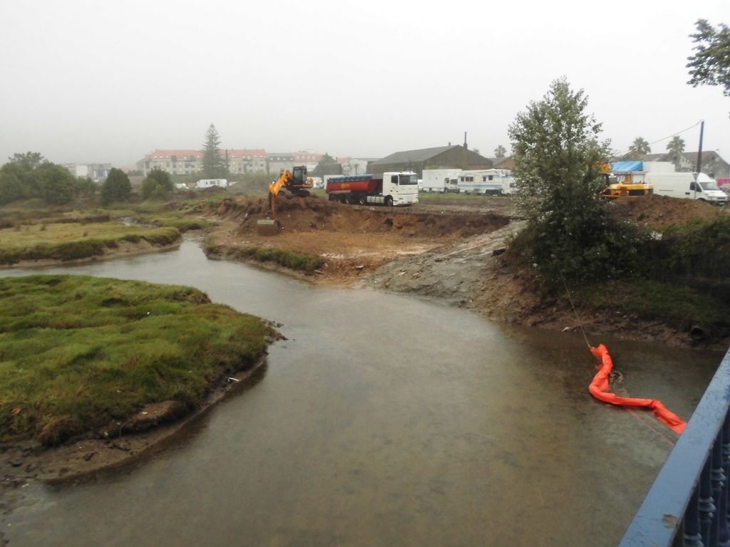 Regeneración ambiental de las marismas de A Xunqueira do Areal, Fase I. Durante