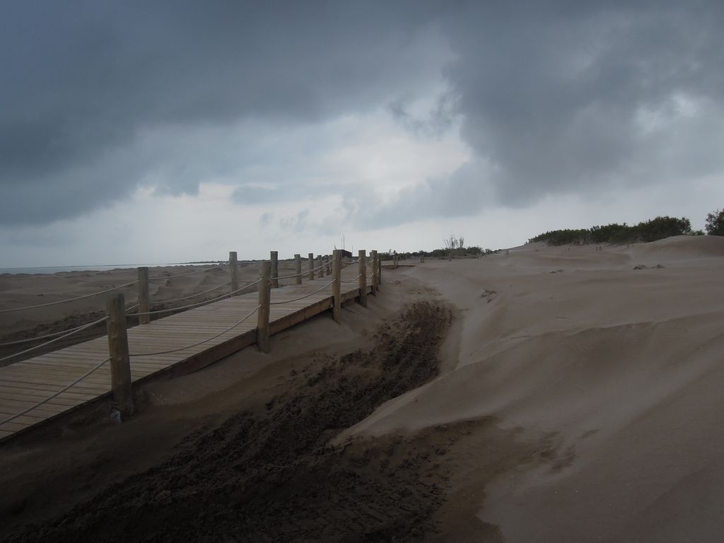 Reperfilado de playa Riomar (TM Deltebre. Durante las obras) 