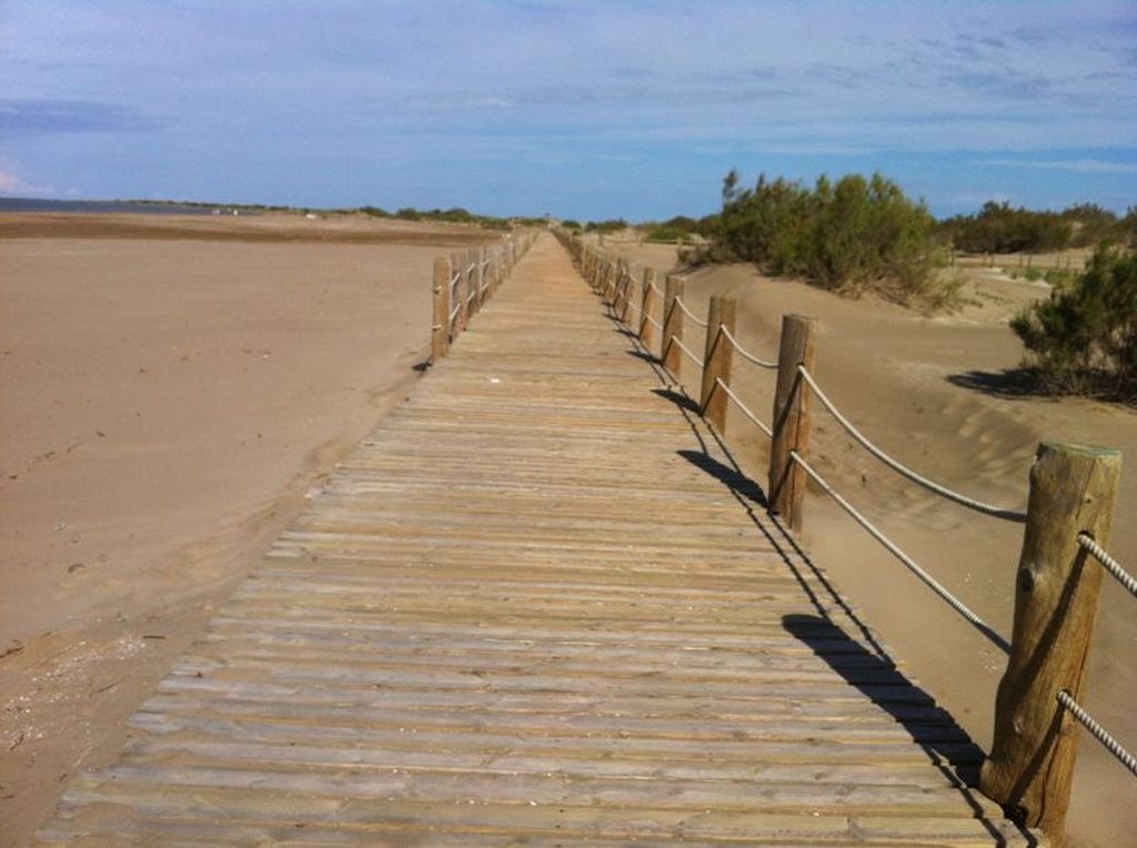 Reperfilado de playa Riomar (TM Deltebre. Después de las obras) 