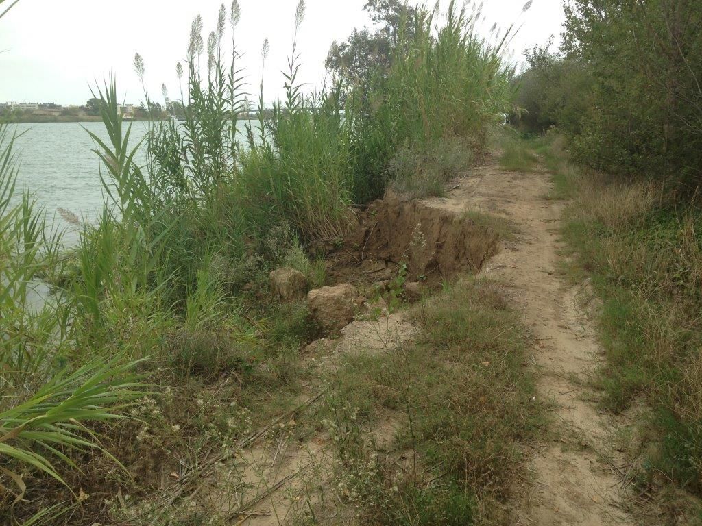Reposición margen derecha del río Ebro, en Sant Jaume d’Enveja (Antes de las obras)