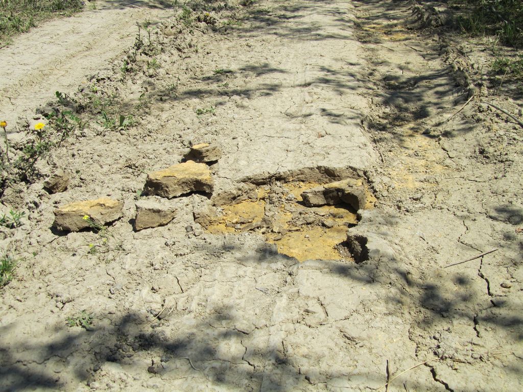 Antes de las obras (Mantenimiento de Sendero de la Corta de La Cartuja Margen Derecha (TT.MM. Sevilla, Camas y Santiponce))